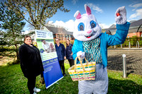 Alcester Easter Bunny 6703