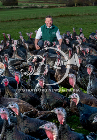 Lower Clopton turkeys  20000101_5167