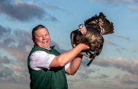 Lower Clopton turkeys  20000101_5169