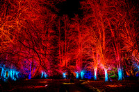 Compton Verney Spectacle of Light 20120224_6150