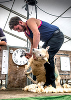 Moreton Show 2024 20121003_4225