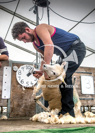 Moreton Show 2024 20121003_4225