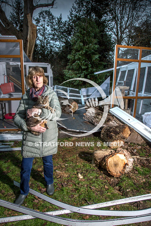 Avon Cat Rescue tree
