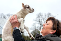 The Farm lambs 20230315_8404