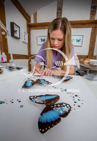 BUTTERFLY ARTIST 4922