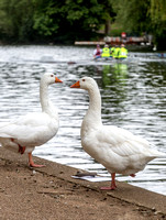 Fun regatta 20120809_1599