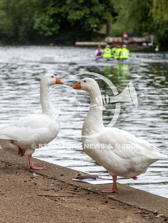 Fun regatta 20120809_1599