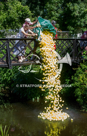 ALCESTER DUCK RACE 7580