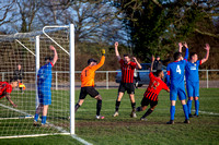 ALCESTER vs FAIRFIELD VILLA 1117