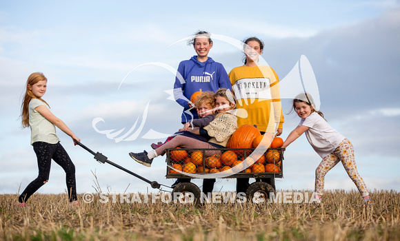 ALCESTER PUMPKINS 9513