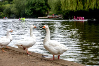 Fun regatta 20120809_1600