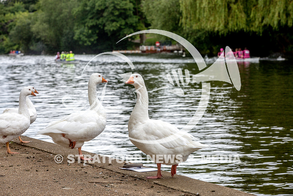 Fun regatta 20120809_1600