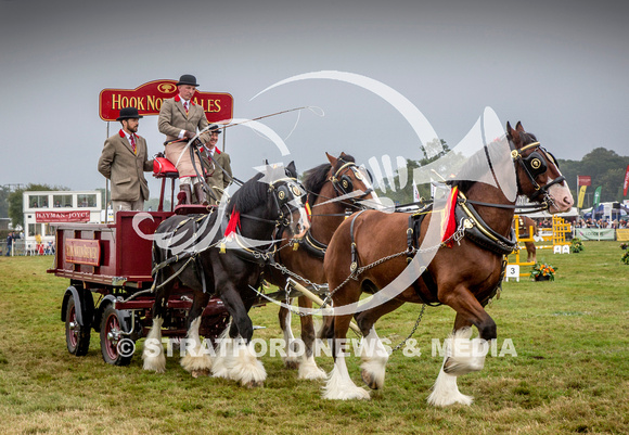 Moreton Show 2024 20121003_4219