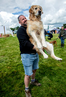 DogFest 20120622_9760 (with caption)