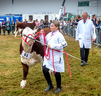 Moreton Show 2024 20121003_4221