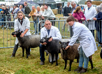 Moreton Show 2024 20121003_4223