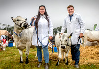 Moreton Show 2024 20121003_4220