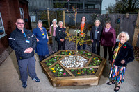 Nicol Ward garden opening 3063