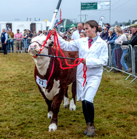 Moreton Show 2024 20121003_4222