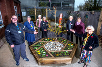 Nicol Ward garden opening 3066