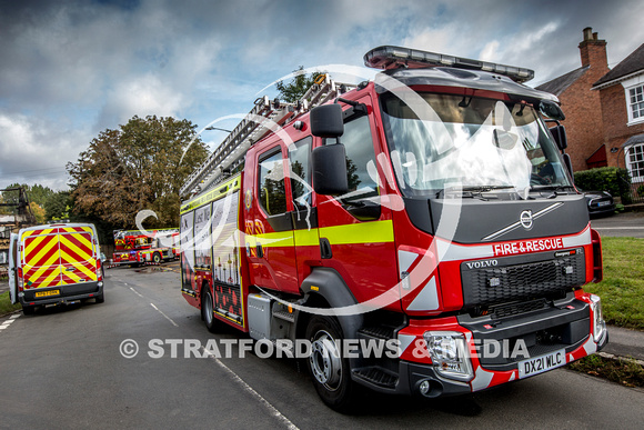 STAGS HEAD FIRE 0106