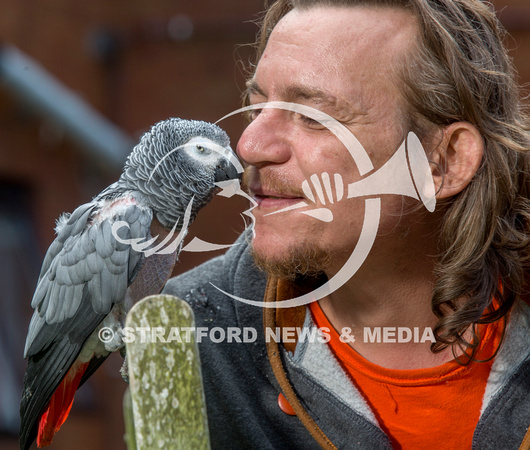 COLIN THE PARROT9328