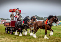 Moreton Show 2024 20121003_4218